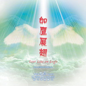 Picture of 如鷹展翅 (專輯) Soar Like An Eagle (Album)